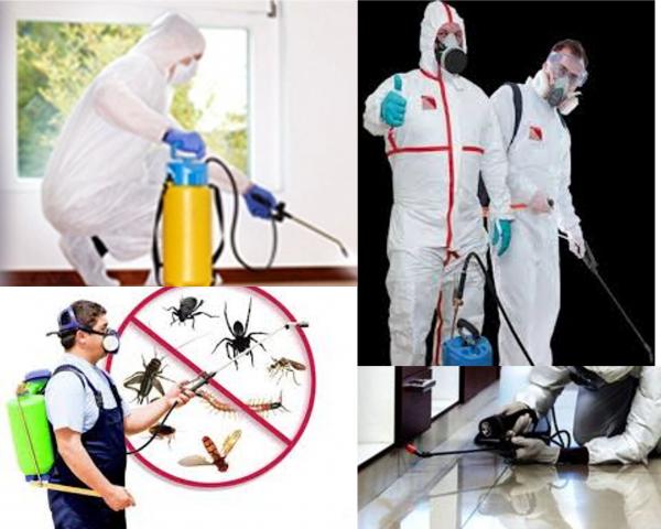 Дезинфекция. Обработка помещений для уничтожения вирусов и бактерий